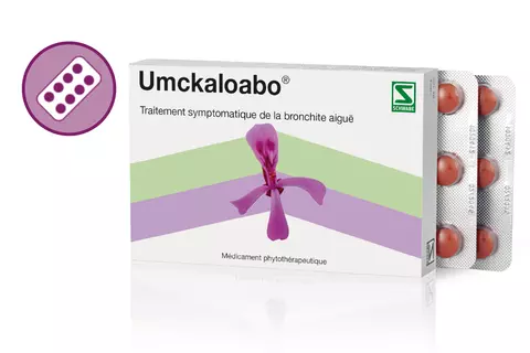packshot-icon-umckaloabo-comprime-rhume-bronchite-root-force-pelargonium-sidoides-francais