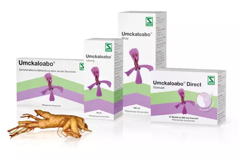 packshot-wurzel-alle-umckaloabo-erkaeltung-bronchitis-wurzelkraft-pelargonium-sidoides-deutsch