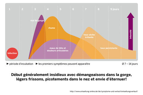  Graphique de l'évolution d'un rhume