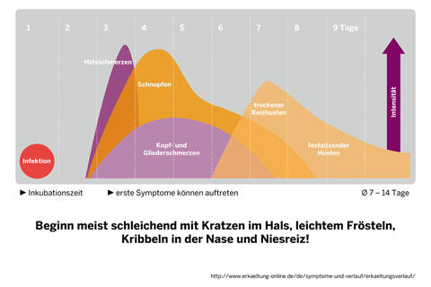 Grafik Erkältungsverlauf