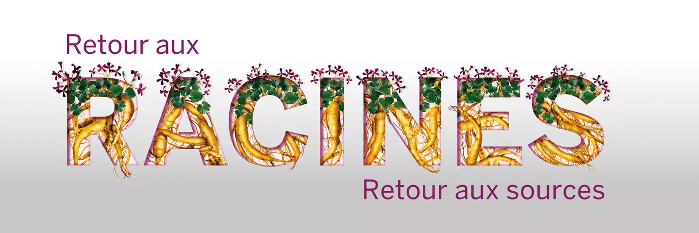 header-umckaloabo-slogan-retour-aux-racines-retour-aux-sources