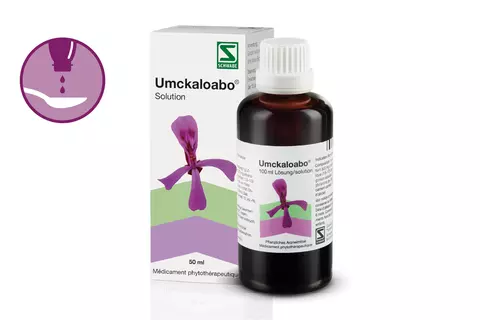 packshot-icon-umckaloabo-solution-rhume-bronchite-root power-pelargonium-sidoides-francais