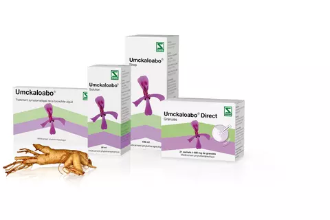 packshot-racine-toutes-umckaloabo-rhume-bronchite-root-force-pelargonium-sidoides-blanc-francais