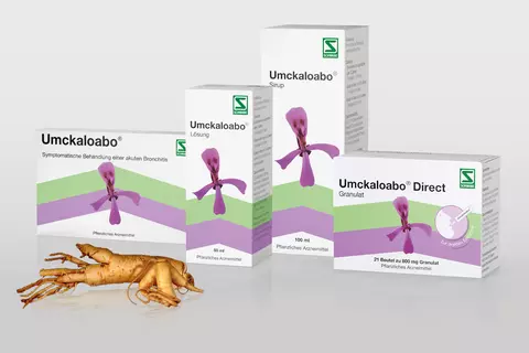 packshot-wurzel-alle-umckaloabo-erkaeltung-bronchitis-wurzelkraft-pelargonium-sidoides-grau-deutsch
