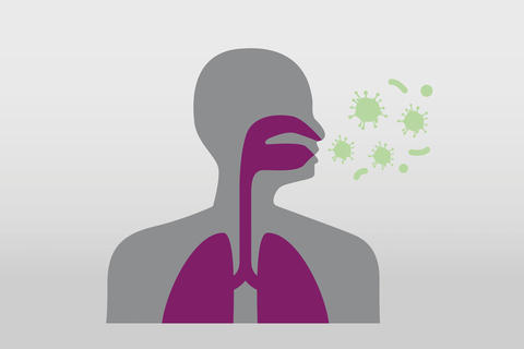 atemwege-umckaloabo-viren-mund-nase-erkaeltung-bronchitis-grau