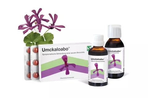 Packshot aller Produkte